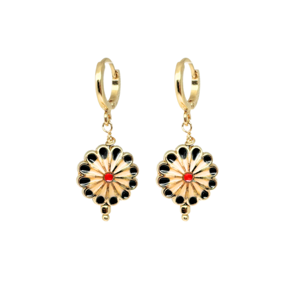 Boucles ASTER – Image 2