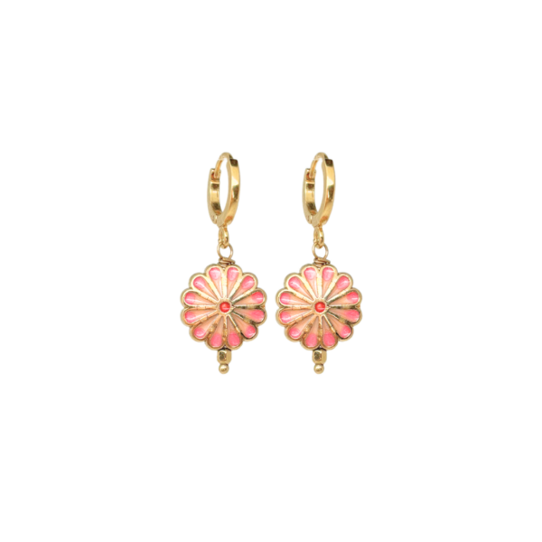 Boucles ASTER – Image 3