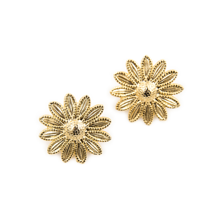 Puces Marguerites